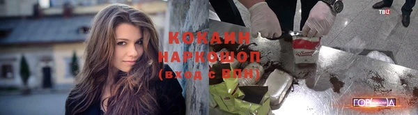 spice Абаза